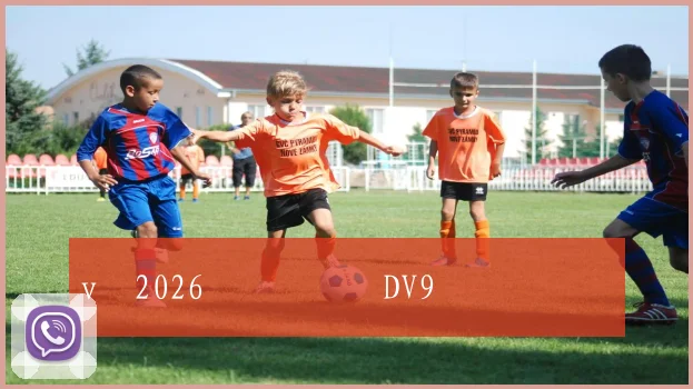 vȣ2026꼾رԶǵİDV9ݶԱȷԼרָ