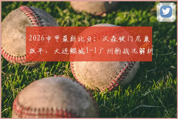 2026中甲最新比分:汉森破门尼康扳平,大连鲲城1-1广州豹战况解析与全场集锦